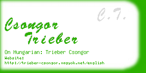 csongor trieber business card